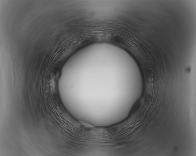 X0000116271298200911301007
