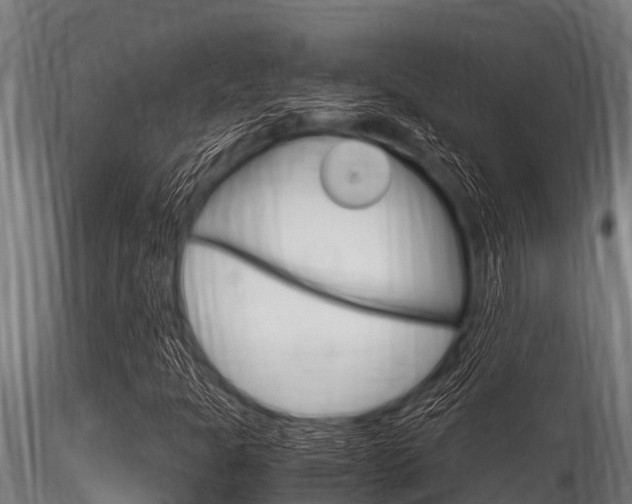 X0000116271301200911301007