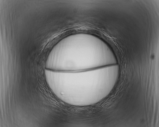 X0000116271303200911301007