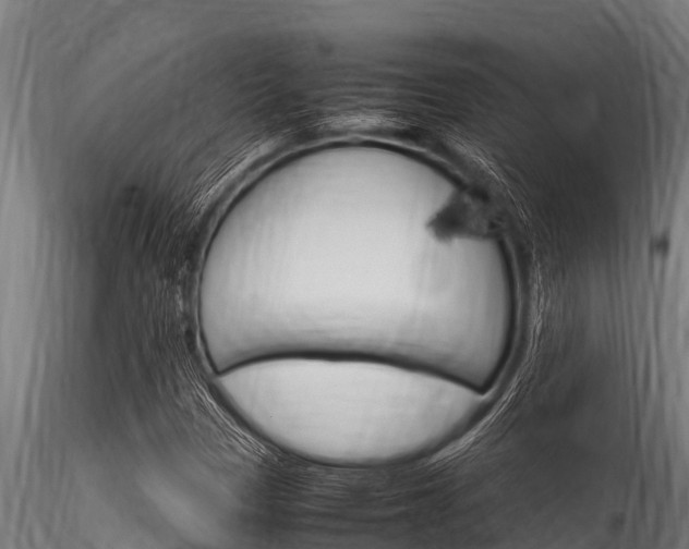 X0000116271305200911301007