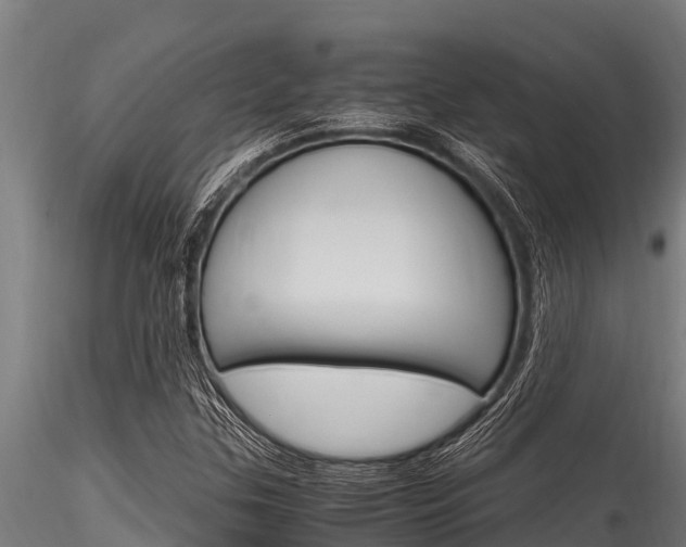 X0000116271307200911301007