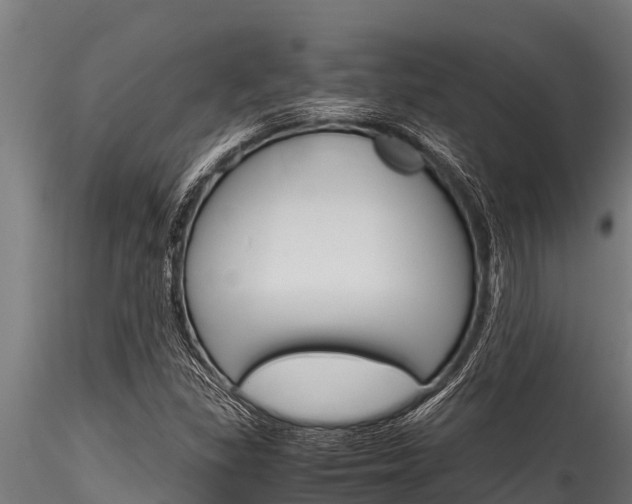 X0000116271309200911301007