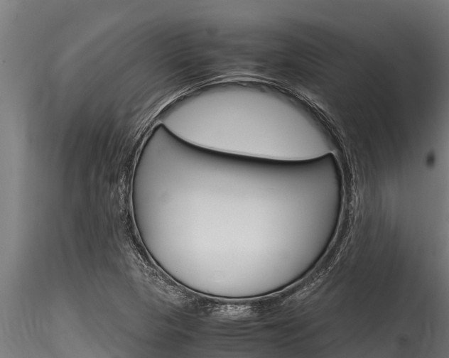 X0000116271313200911301007