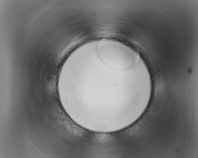 X0000116271314200911301007