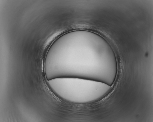 X0000116271317200911301007
