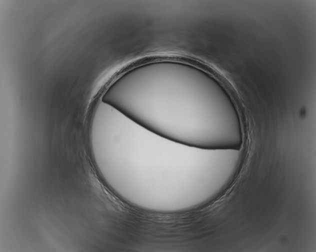 X0000116271319200911301007