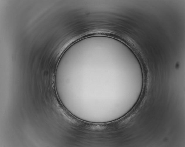 X0000116271321200911301007