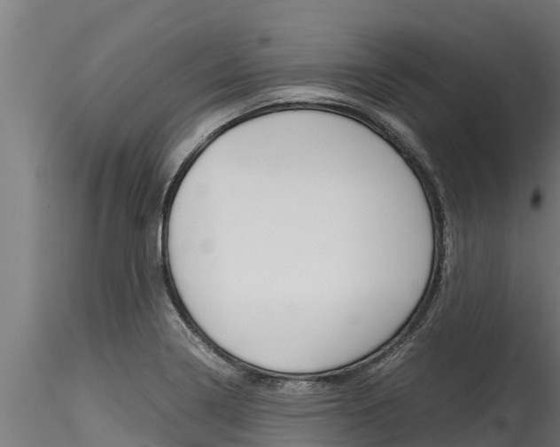 X0000116271322200911301007