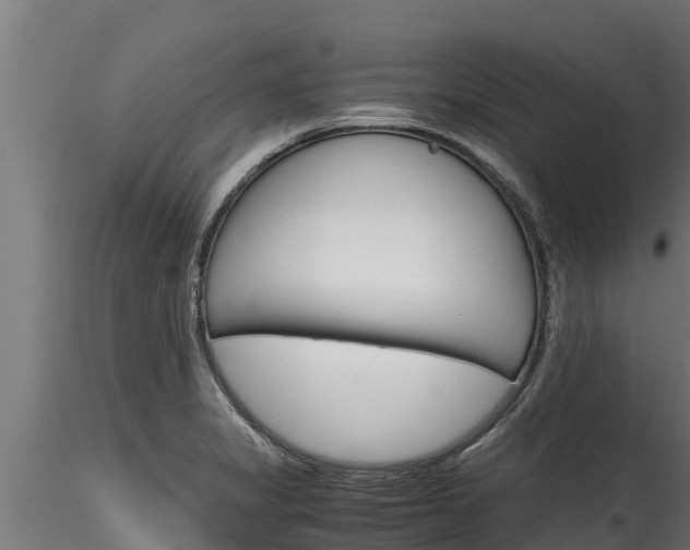 X0000116271325200911301007