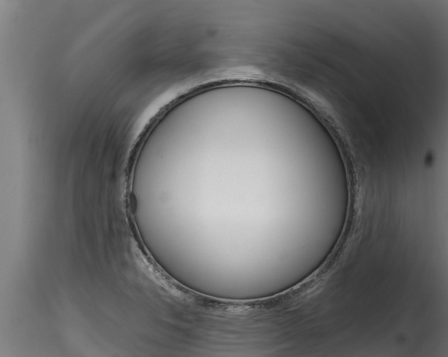 X0000116271326200911301007
