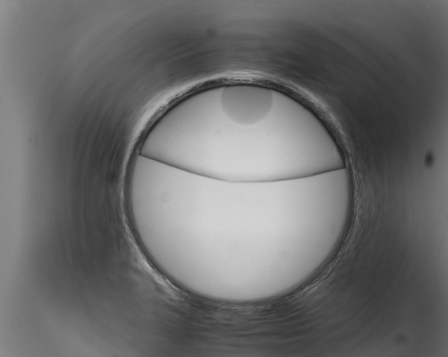 X0000116271327200911301007
