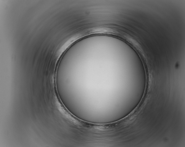 X0000116271330200911301007
