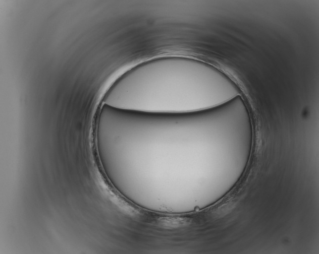 X0000116271331200911301007