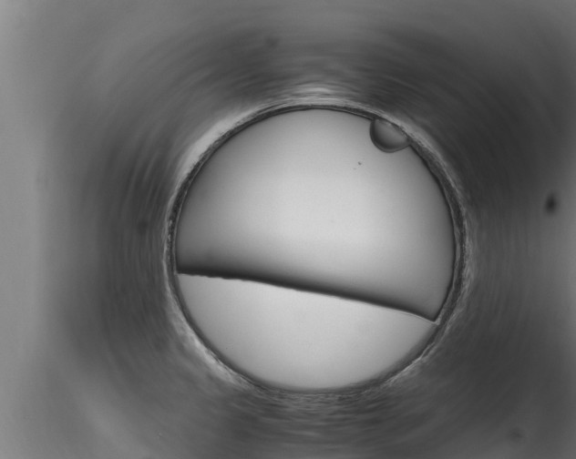 X0000116271333200911301007