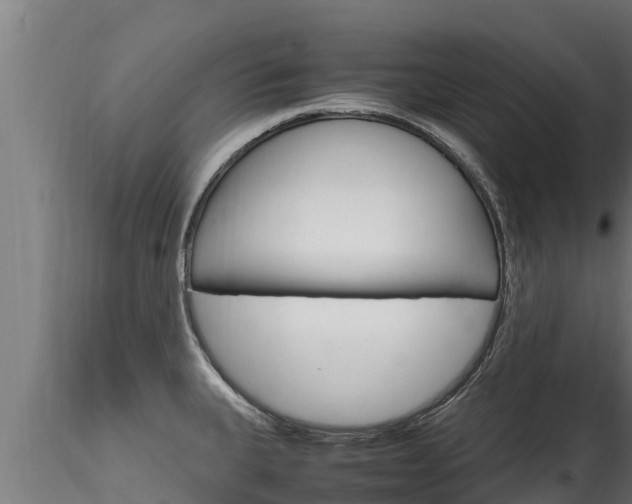 X0000116271335200911301007
