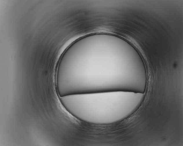 X0000116271339200911301007