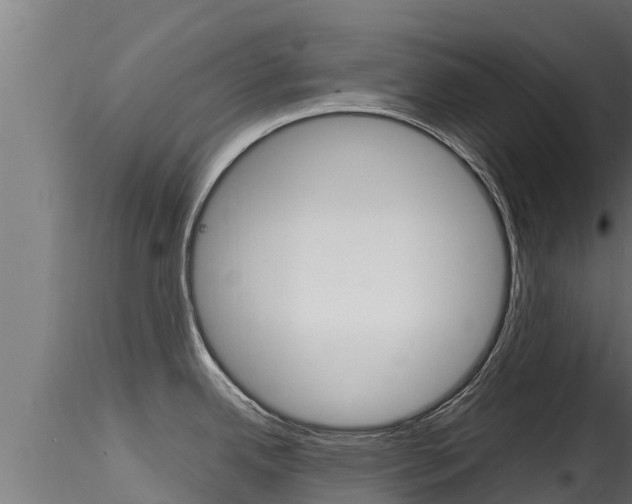 X0000116271342200911301007