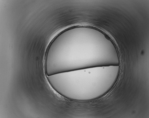 X0000116271343200911301007