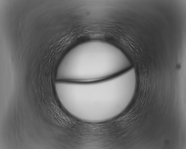 X0000116271345200911301007
