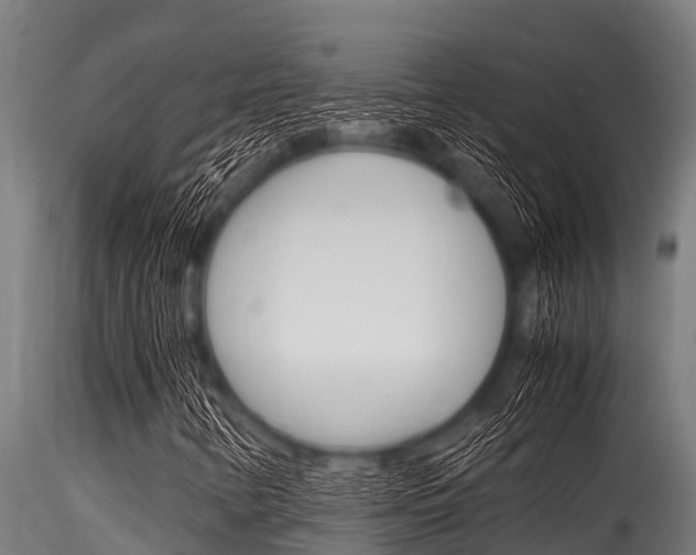 X0000116271346200911301007