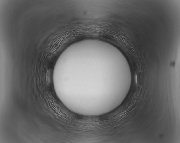 X0000116271347200911301007