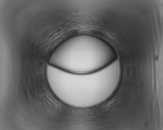 X0000116271348200911301007