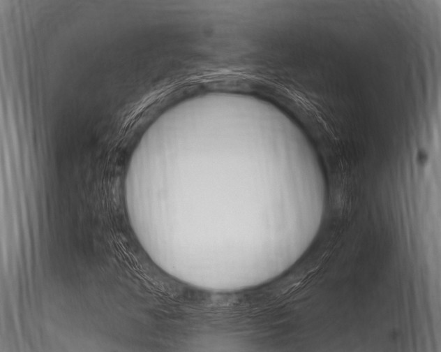 X0000116271350200911301007