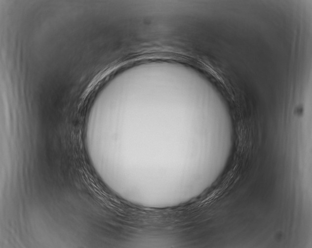 X0000116271352200911301007