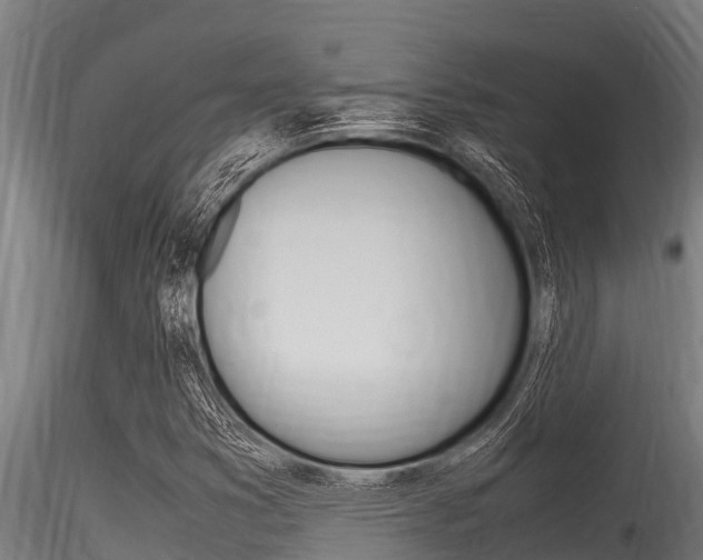 X0000116271353200911301007