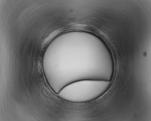 X0000116271354200911301007