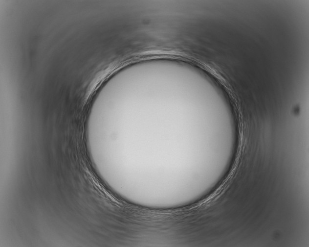 X0000116271357200911301007