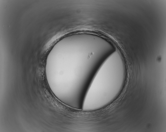 X0000116271359200911301007