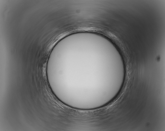 X0000116271361200911301007