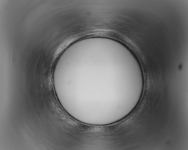 X0000116271362200911301007
