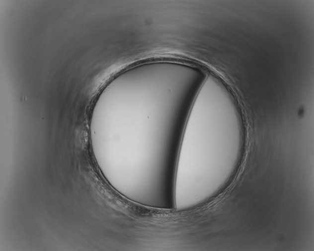 X0000116271363200911301007