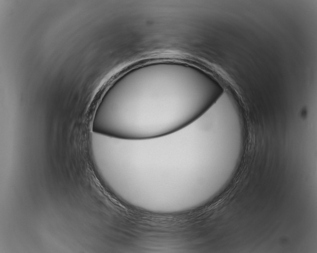 X0000116271364200911301006
