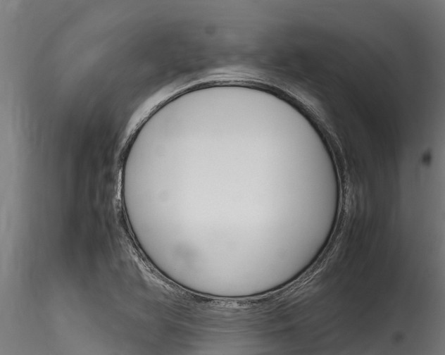 X0000116271366200911301006