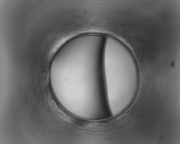 X0000116271367200911301006