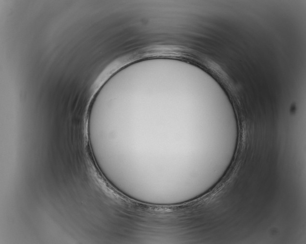X0000116271370200911301006