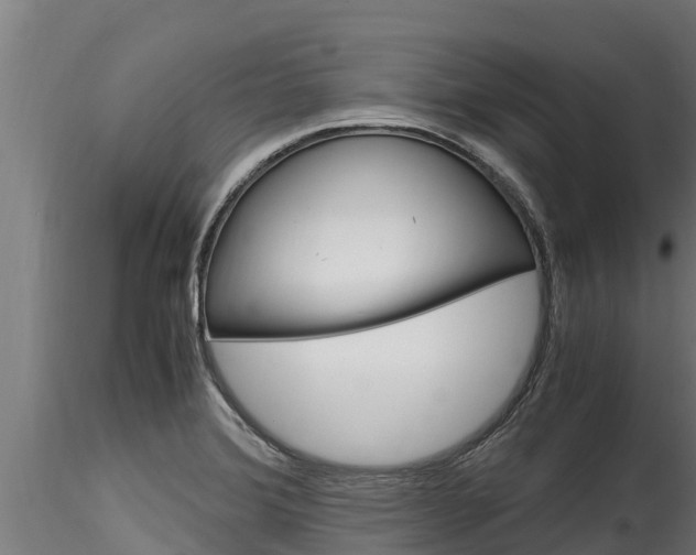X0000116271372200911301006