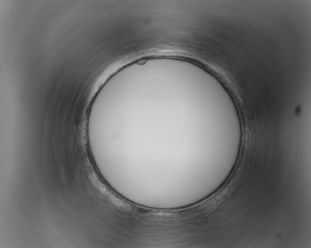 X0000116271374200911301006