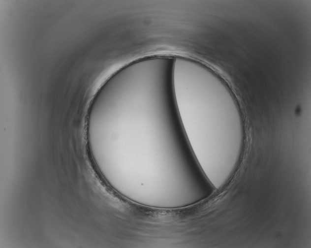 X0000116271375200911301006