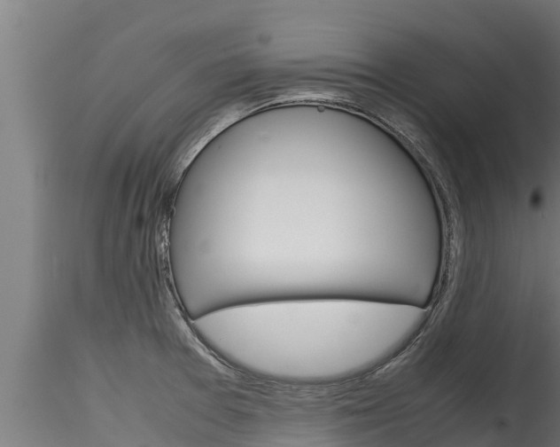 X0000116271377200911301006