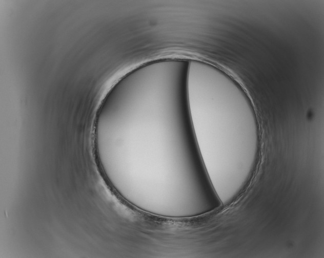 X0000116271379200911301006