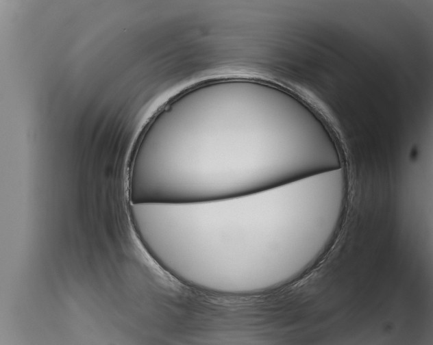 X0000116271380200911301006