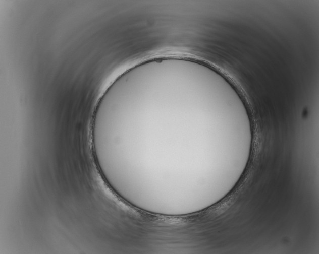 X0000116271382200911301006