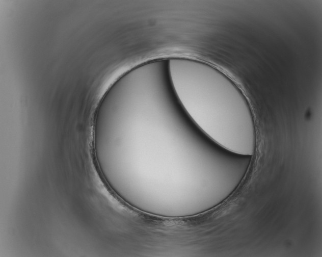 X0000116271383200911301006