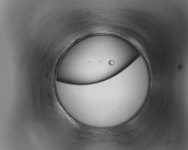 X0000116271384200911301006