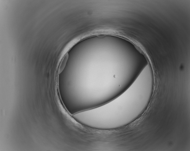 X0000116271389200911301006