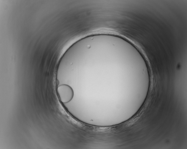 X0000116271390200911301006